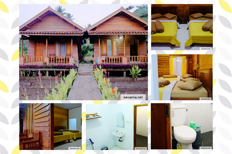 Little Hula Hula Tipe Jamrud