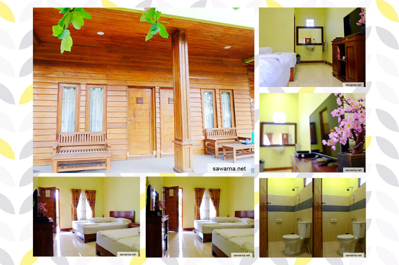 Little Hula Hula Tipe Laguna